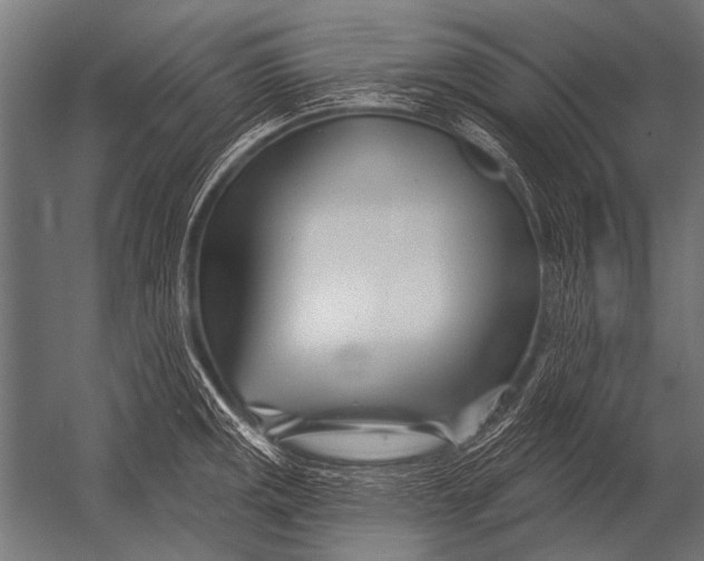 X0000052961141200507300104
