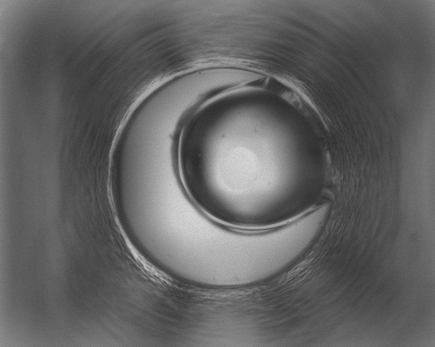 X0000052961143200507300104