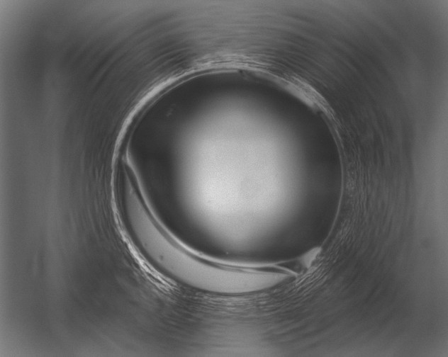 X0000052961144200507300104