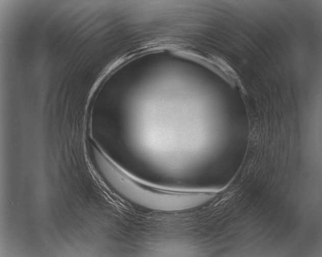 X0000052961146200507300104