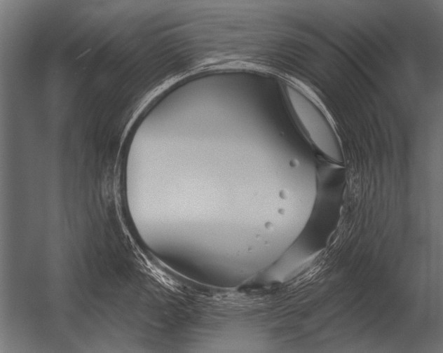 X0000052961149200507300104