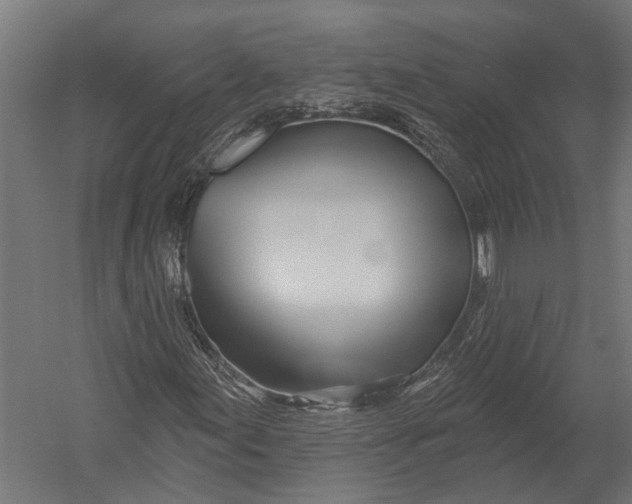 X0000052961155200507300104