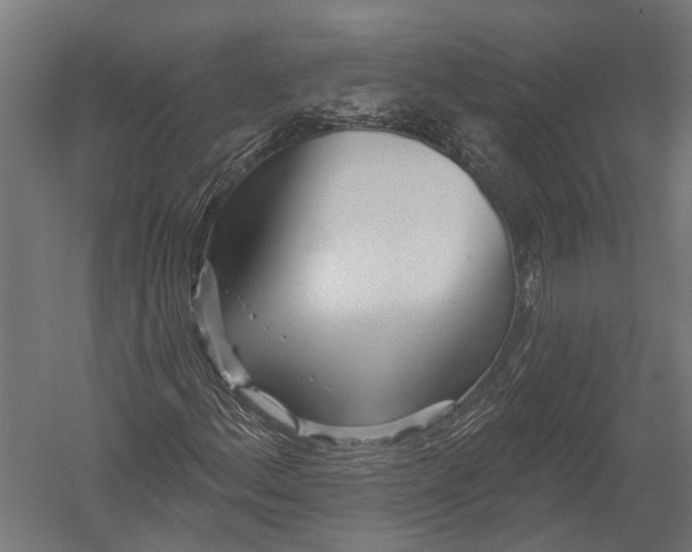 X0000052961156200507300104