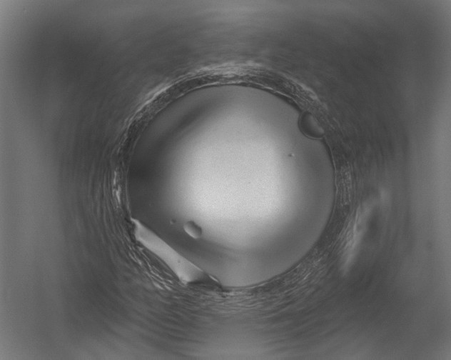 X0000052961158200507300104