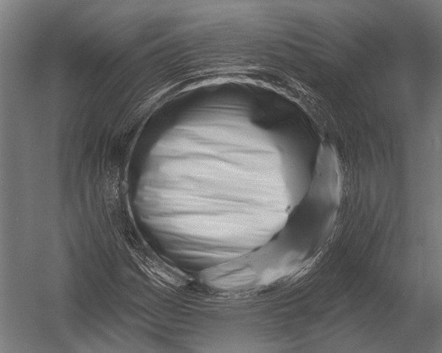 X0000052961161200507300104