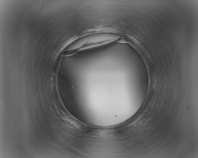 X0000052961163200507300103