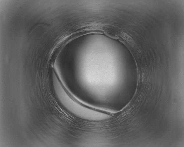 X0000052961164200507300103