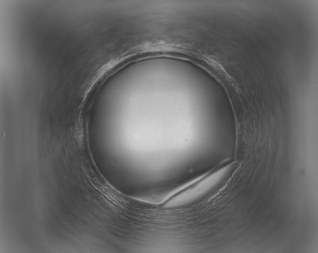X0000052961167200507300103