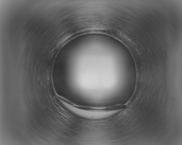 X0000052961169200507300103