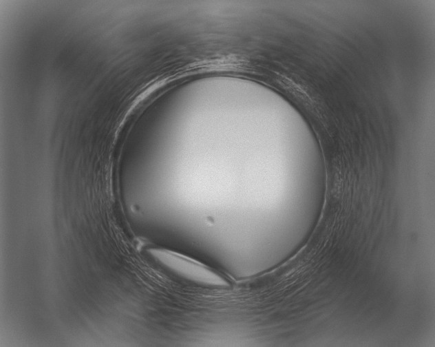 X0000052961174200507300103