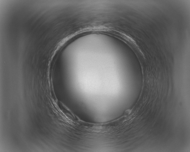 X0000052961176200507300103