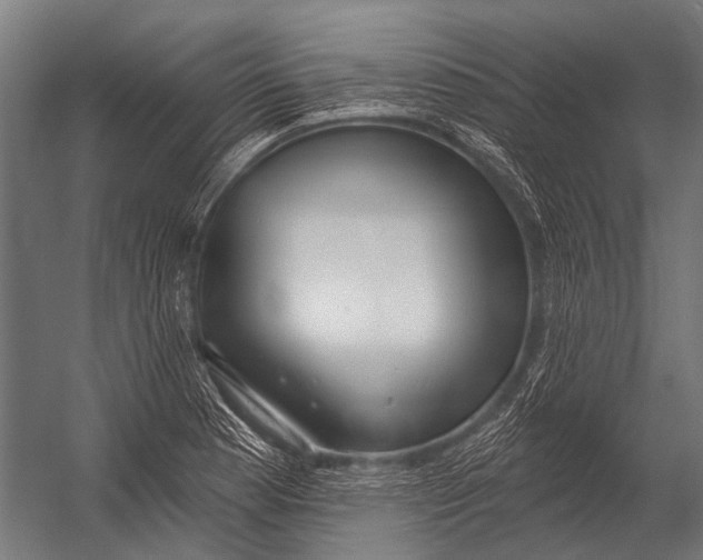 X0000052961177200507300103