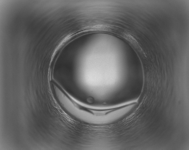 X0000052961180200507300103