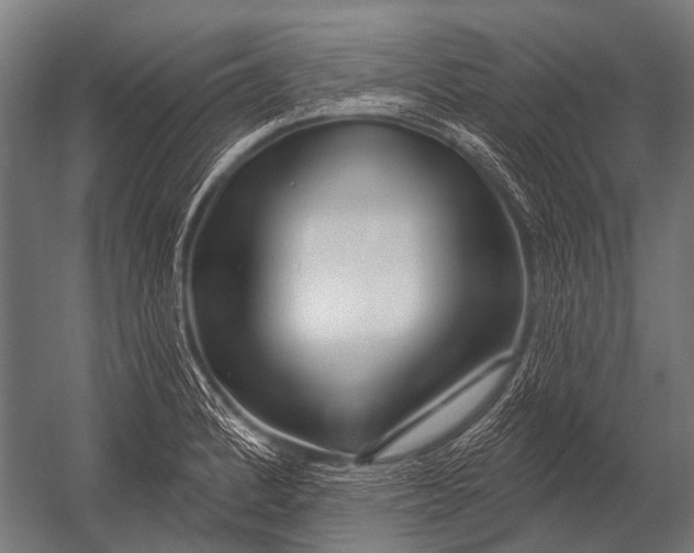 X0000052961184200507300103
