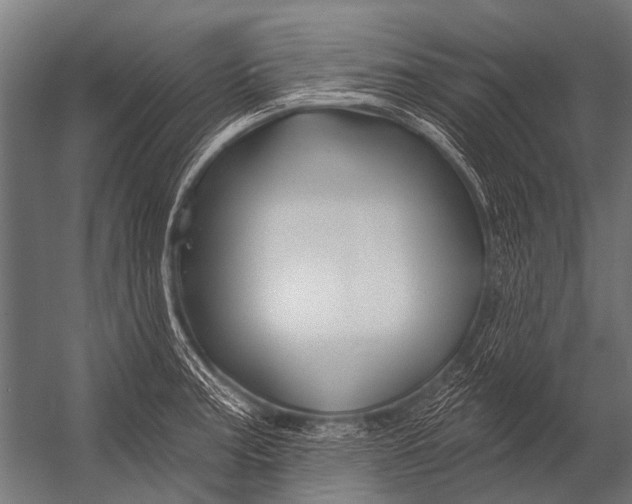 X0000052961187200507300103