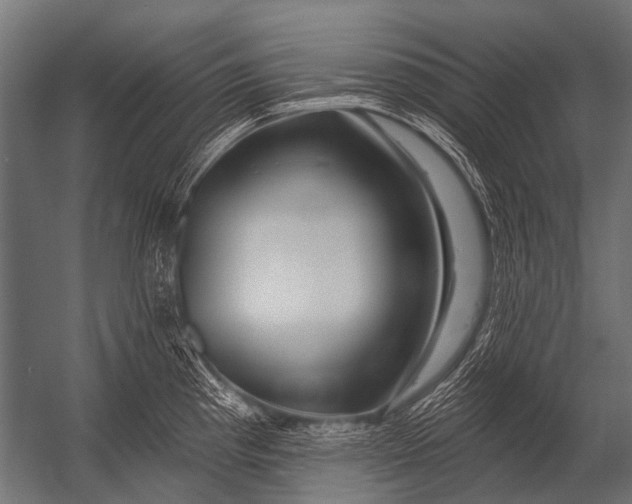 X0000052961193200507300103