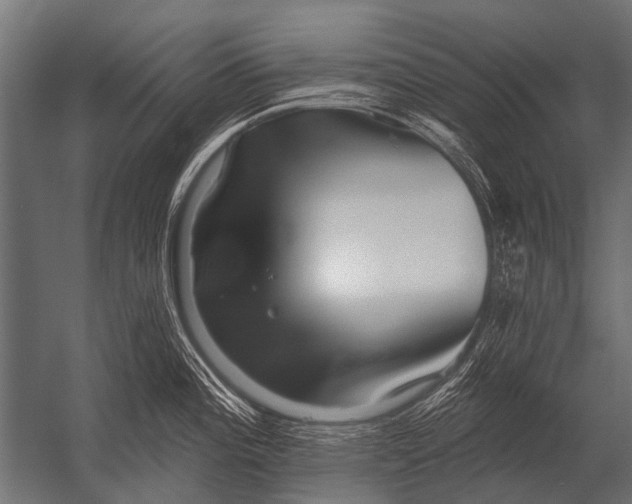 X0000052961196200507300103