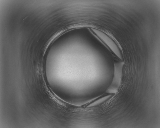 X0000052961197200507300103