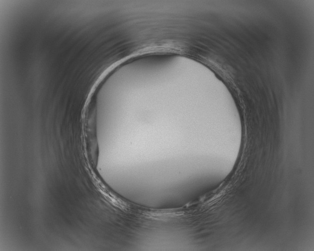 X0000052961200200507300103