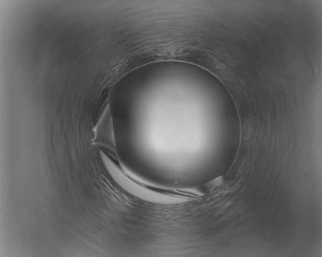 X0000052961202200507300102