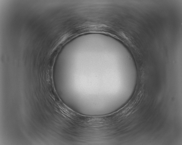 X0000052961211200507300102
