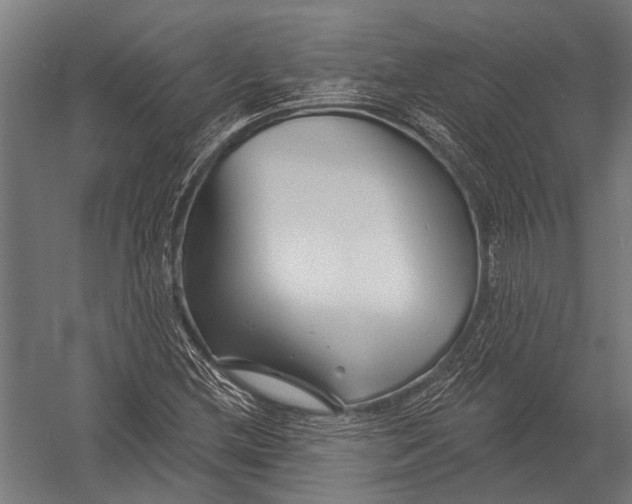 X0000052961212200507300102