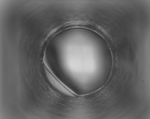 X0000052961213200507300102