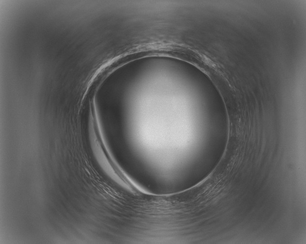 X0000052961214200507300102