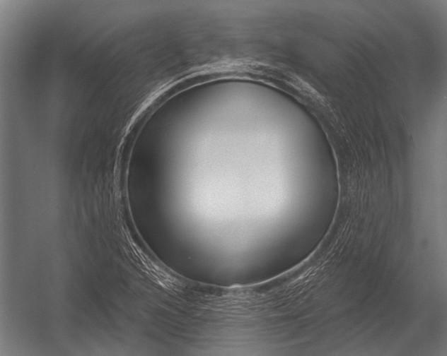 X0000052961216200507300102