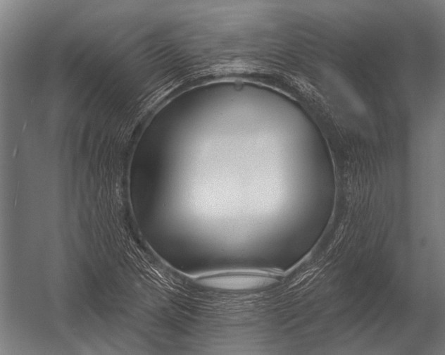 X0000052961217200507300102