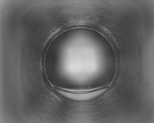 X0000052961218200507300102