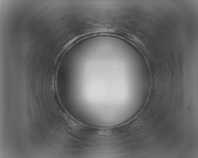 X0000052961220200507300102