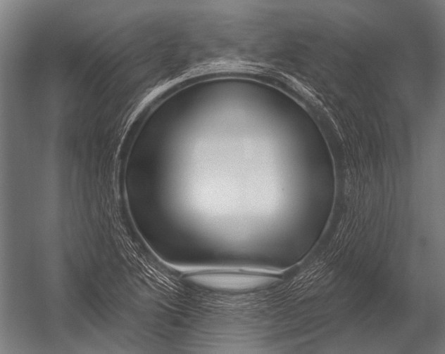 X0000052961222200507300102