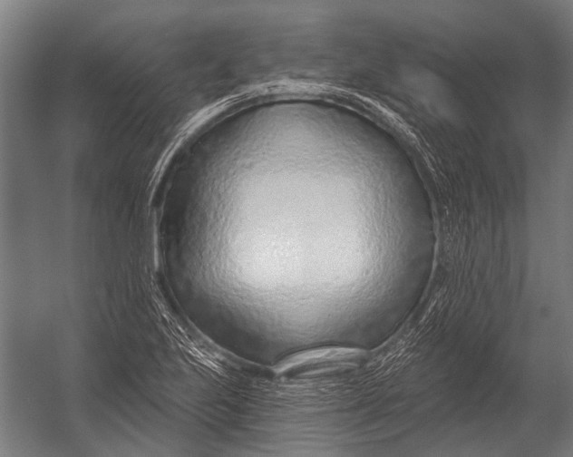 X0000052961223200507300102
