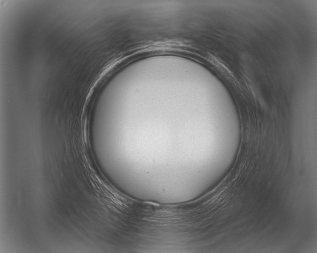 X0000052961224200507300102