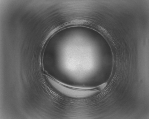X0000052961226200507300102
