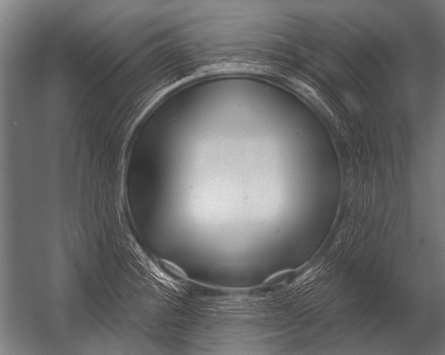 X0000052961228200507300102