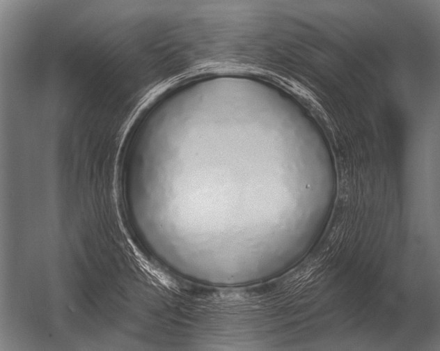 X0000052961231200507300103