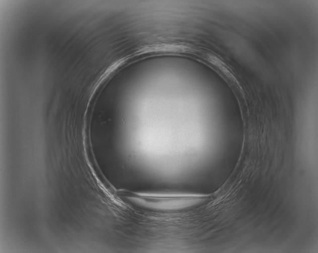 X0000052961237200507300103