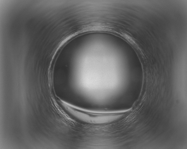 X0000052961238200507300103