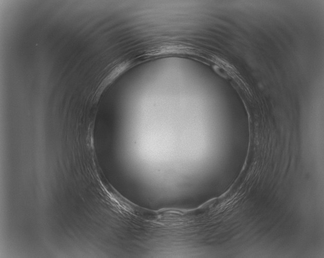 X0000052961241200507300103