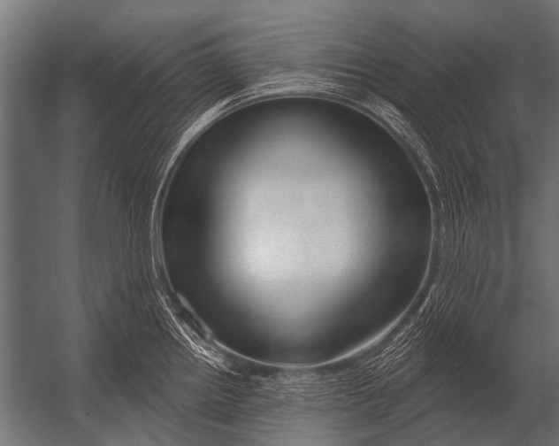 X0000052961242200507300103