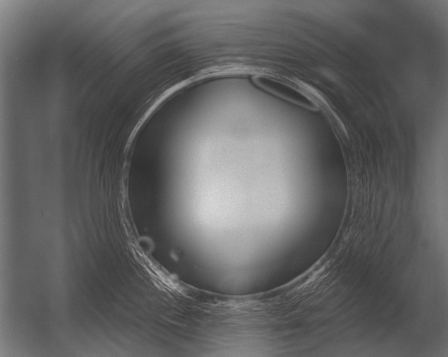 X0000052961244200507300103
