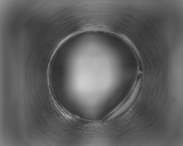X0000052961246200507300103