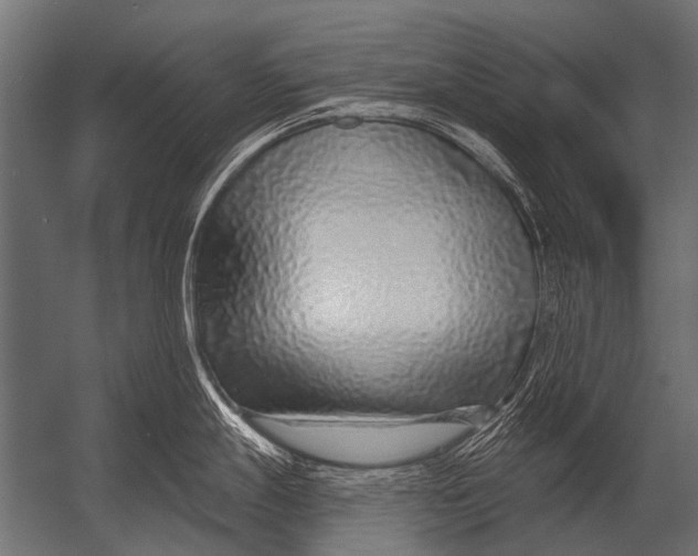X0000052961247200507300103
