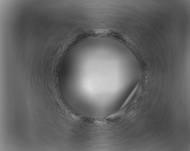 X0000052961249200507300102