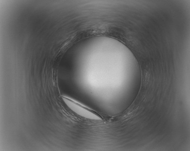 X0000052961250200507300102