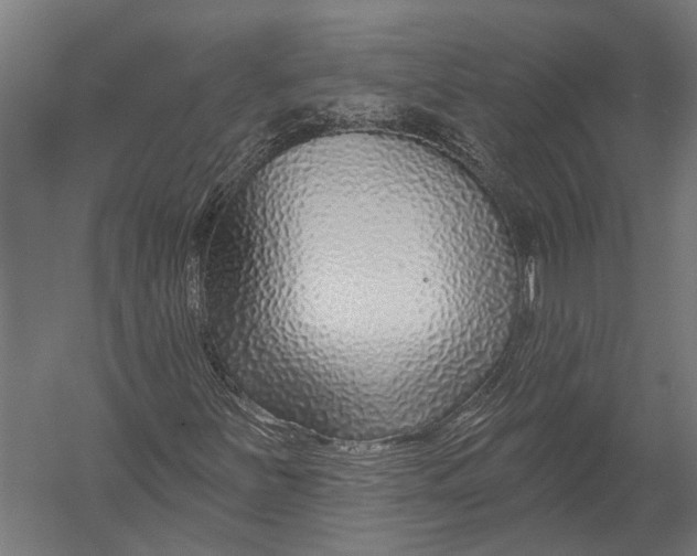X0000052961251200507300102