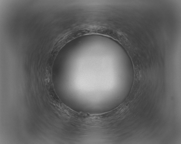 X0000052961253200507300102