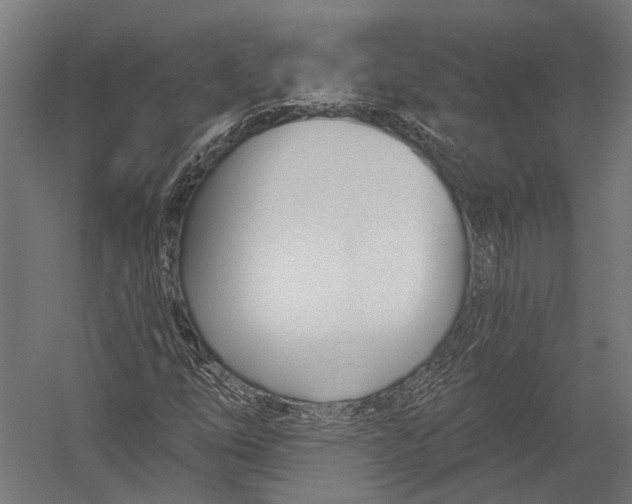 X0000052961254200507300102